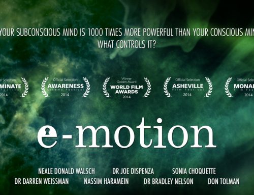 E-Motion Documentary – My Notes